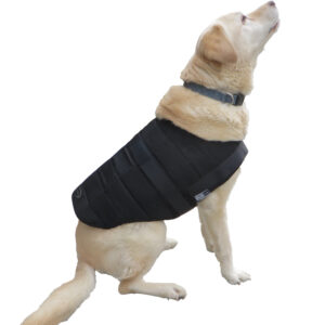 Retriever con gilet refrigerante per cani Powerdog SX3