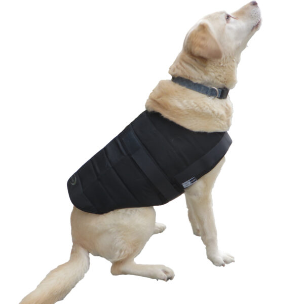 Retriever con gilet refrigerante per cani Powerdog SX3