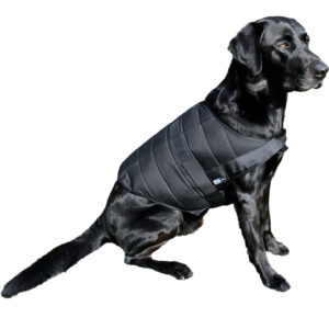 Retriever con gilet refrigerante per cani Powerdog SX3