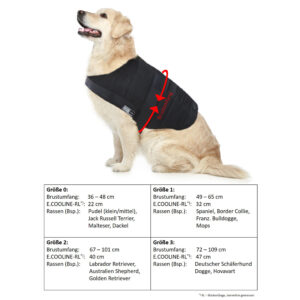 Prendere le misure giuste - Tabella con taglie del gilet refrigerante per cani Powerdog SX3