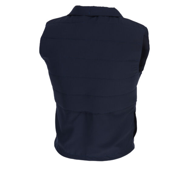 Kühlweste mit Druckknöpfen Rückansicht von E.COOLINE in Farbe blau