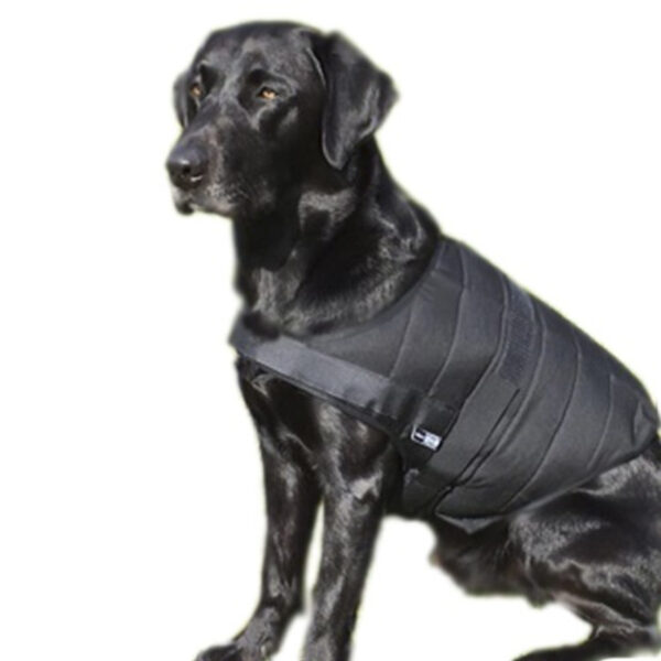 Retriever con gilet refrigerante per cani Powerdog SX3
