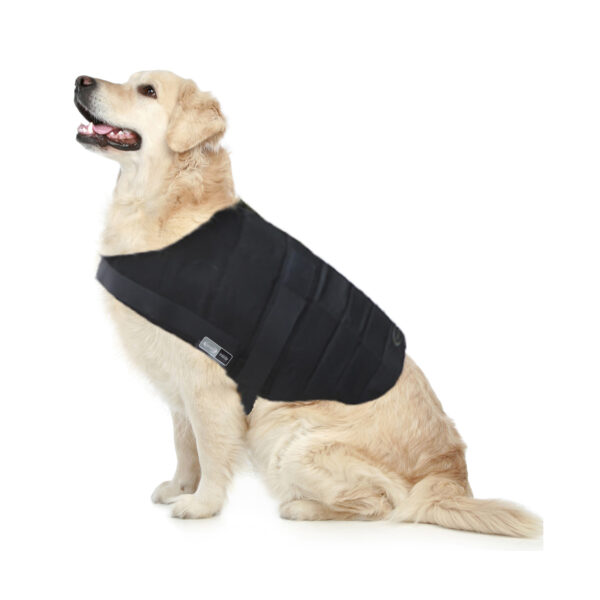 Retriever con gilet refrigerante per cani Powerdog SX3