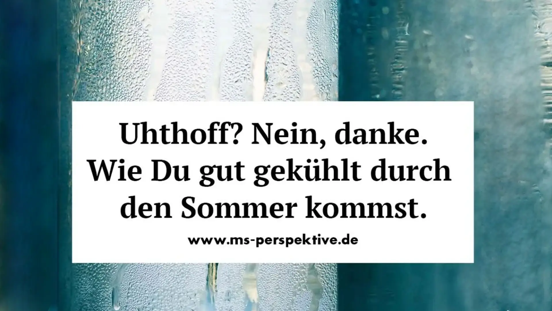 MS-Perspektive-Blog-Interview-mit-Gabriele-Renner-zum-Thema-Ecooline
